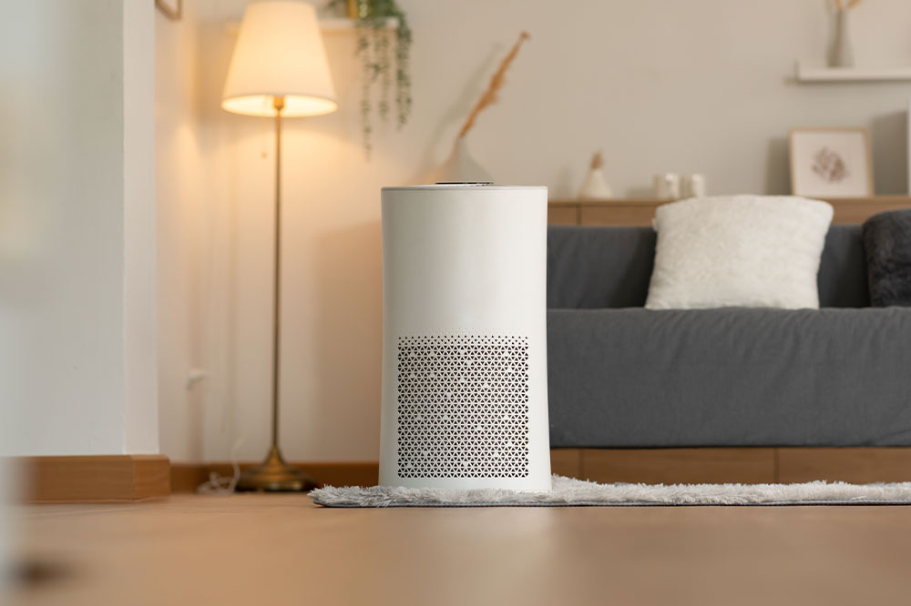 Top 5 air purifiers for the home