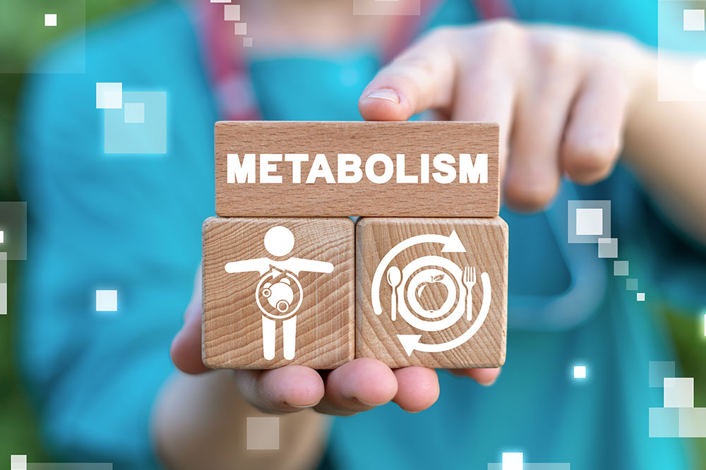 Metabolism – Types, key factors, and management tips
